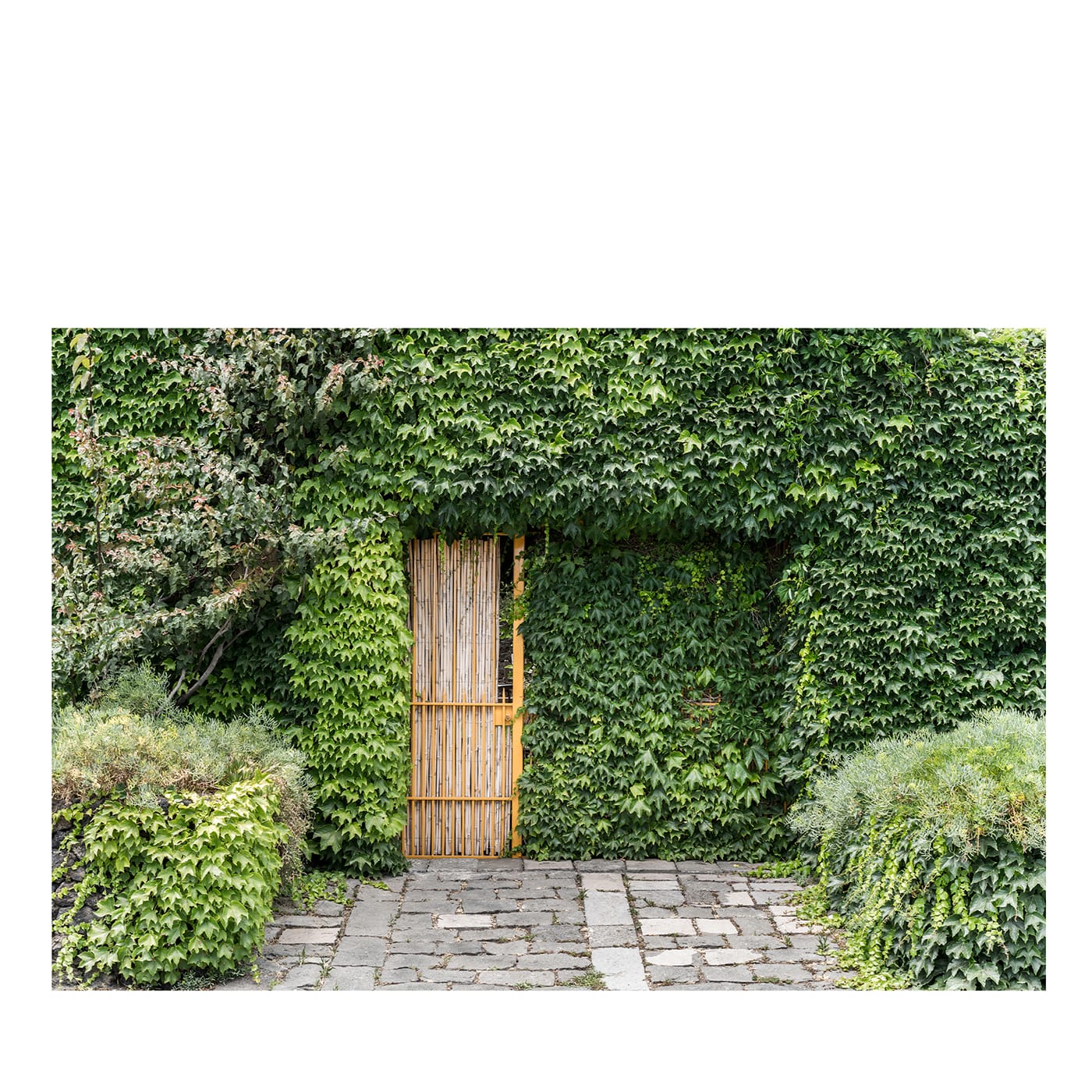 L'Isola SIM_RIM_00631 Fotografia