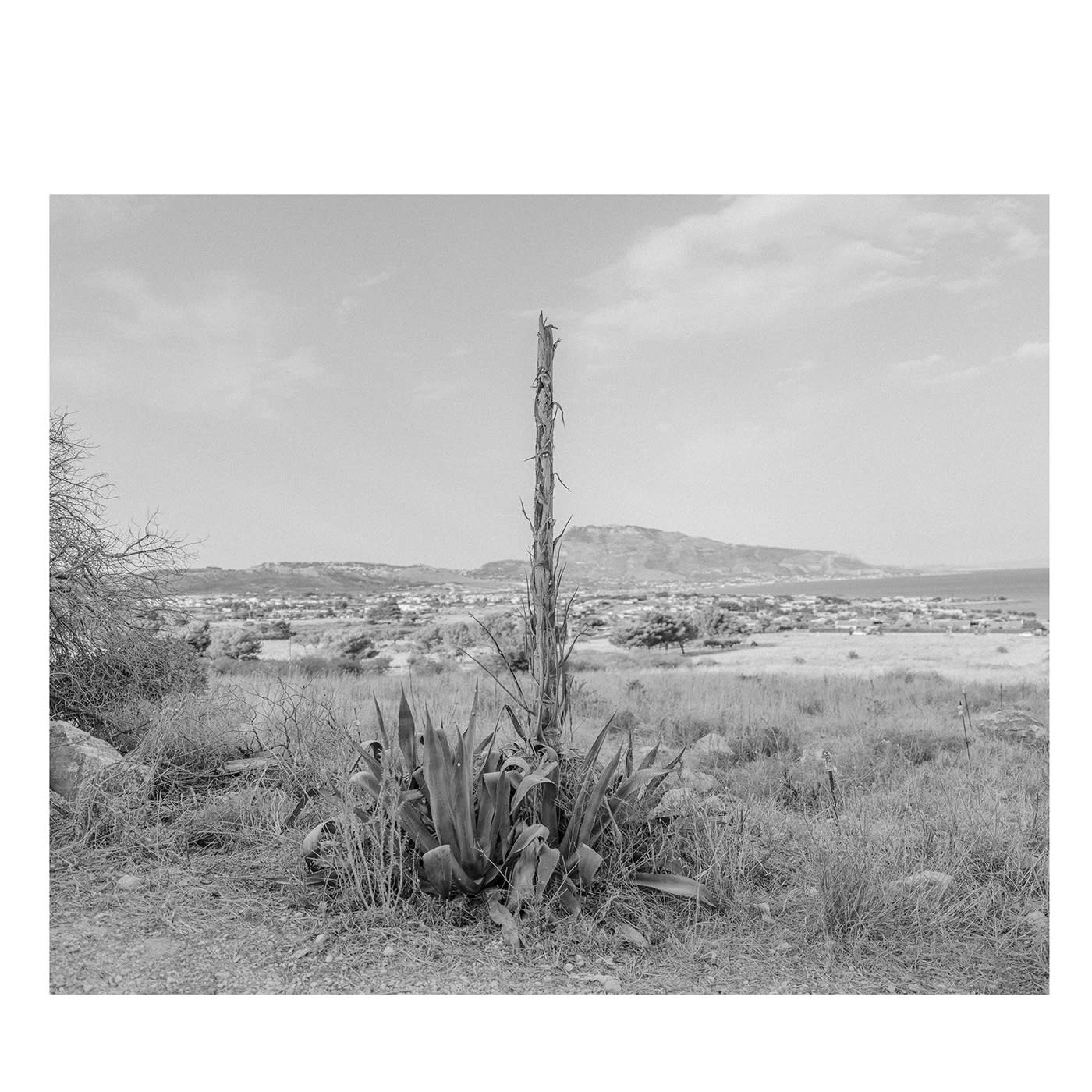 Sicilia Baia di Cornino 03 Fotografia