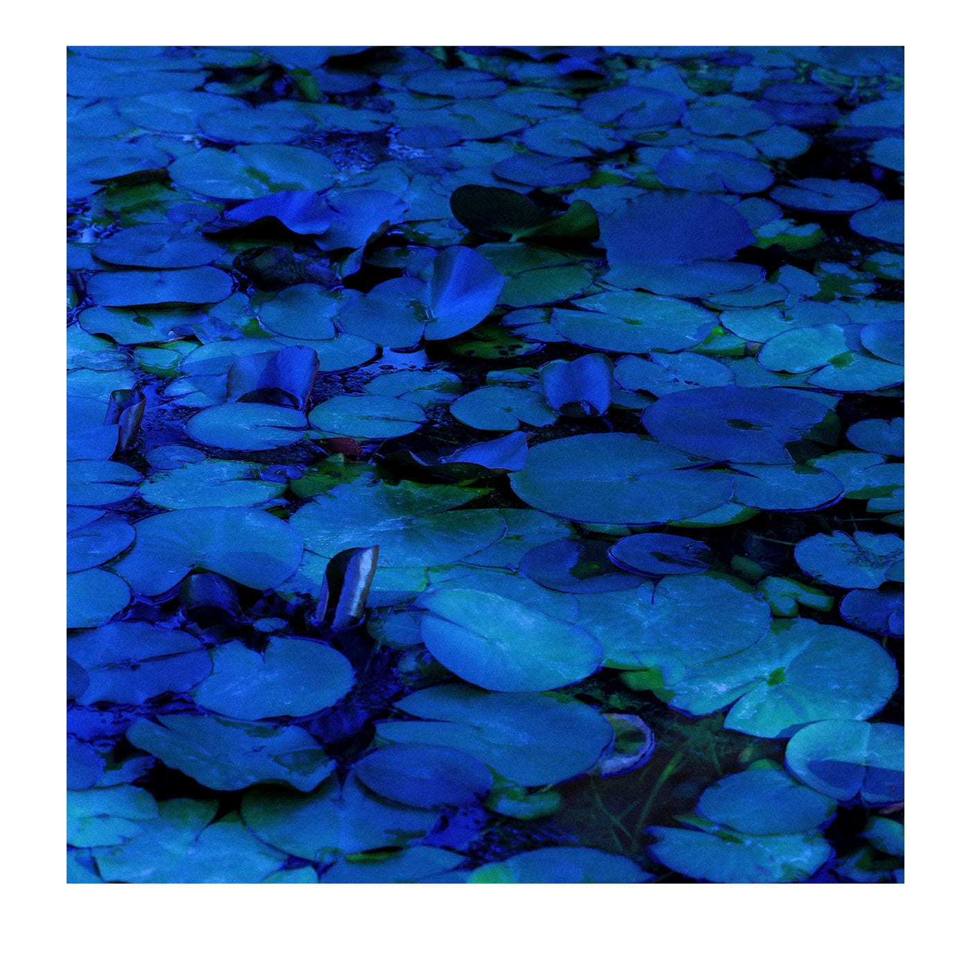 Stampa Fotografica Arcobaleno N.2