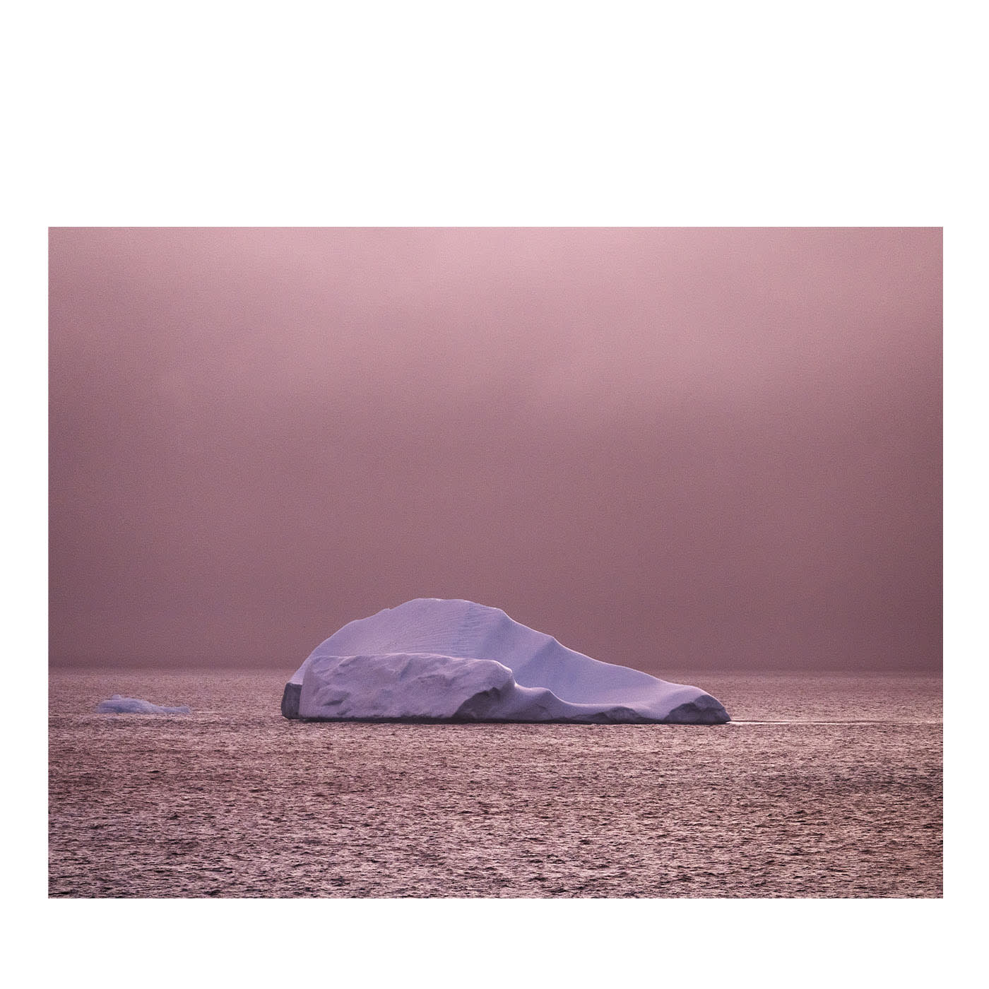 La Conchiglia N.1 Stampa fotografica